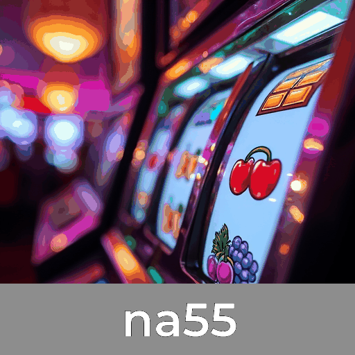 na55: A Plataforma de Jogos que Une Segurança e Serviços Profissionais